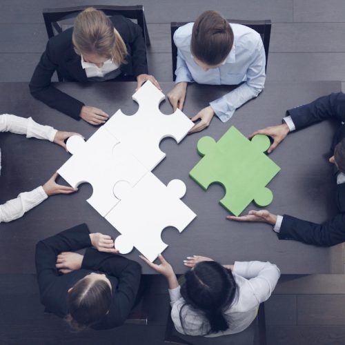 Field Force Automation Consulting