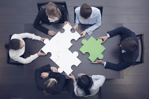 Field Force Automation Consulting